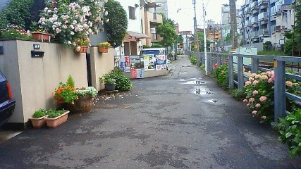 201005271531000