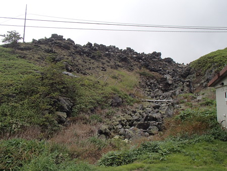 P8251554