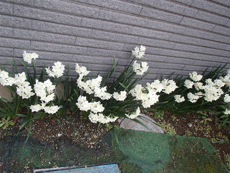 P3302446