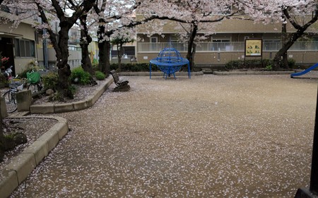 20140406_19