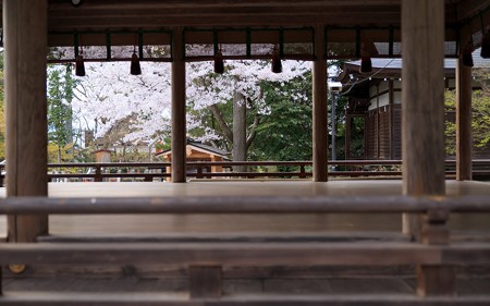出雲大神宮11