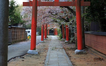 竹中稲荷神社09