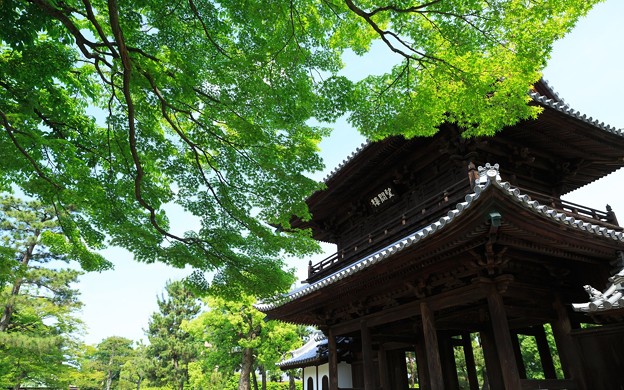 建仁寺17