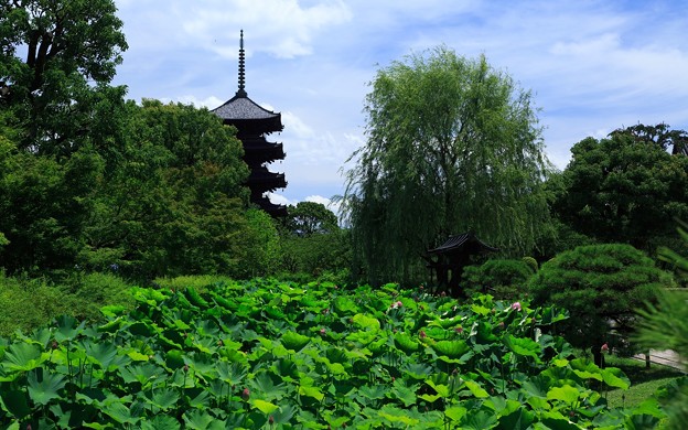 東寺02