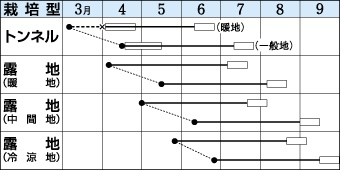 エダマメ栽培方法 種から育てる 暇人主婦の家庭菜園 楽天ブログ