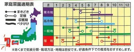 レタスの育て方 種まき 6月 7月 暇人主婦の家庭菜園 楽天ブログ