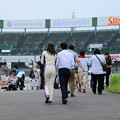 アシスタントのなみちゃん