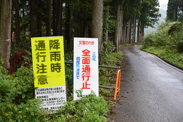 国道157号線