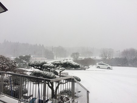 雪景色3