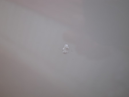 R0038509