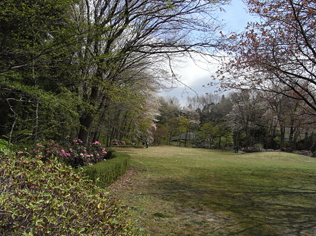 RIMG0075