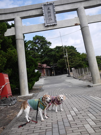 大瀬神社のお参りに来たよ