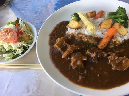 南箱根ダイヤランド森の里のカレー(美味しかった!)