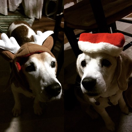 マリうみプリティクリスマス