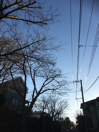 景色を見る余裕ができて欲しいですね