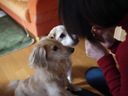 もっとちょうだいアピール!