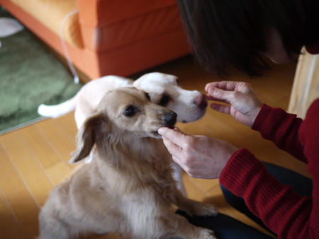 再度ぱくぱくぱく!