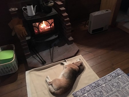 特等席ぬくぬく