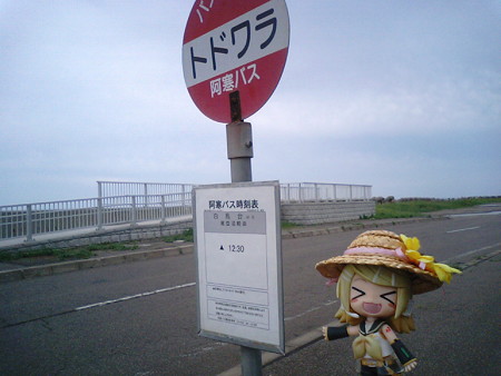 トドワラ・ネイチャーセンターに戻りました。 リン:「見て見て! ...
