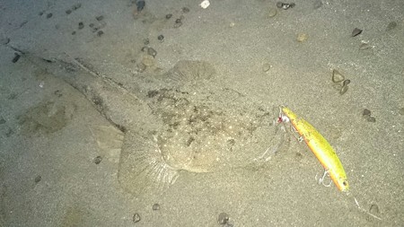 １０月２５日　マゴチ５８ｃｍ