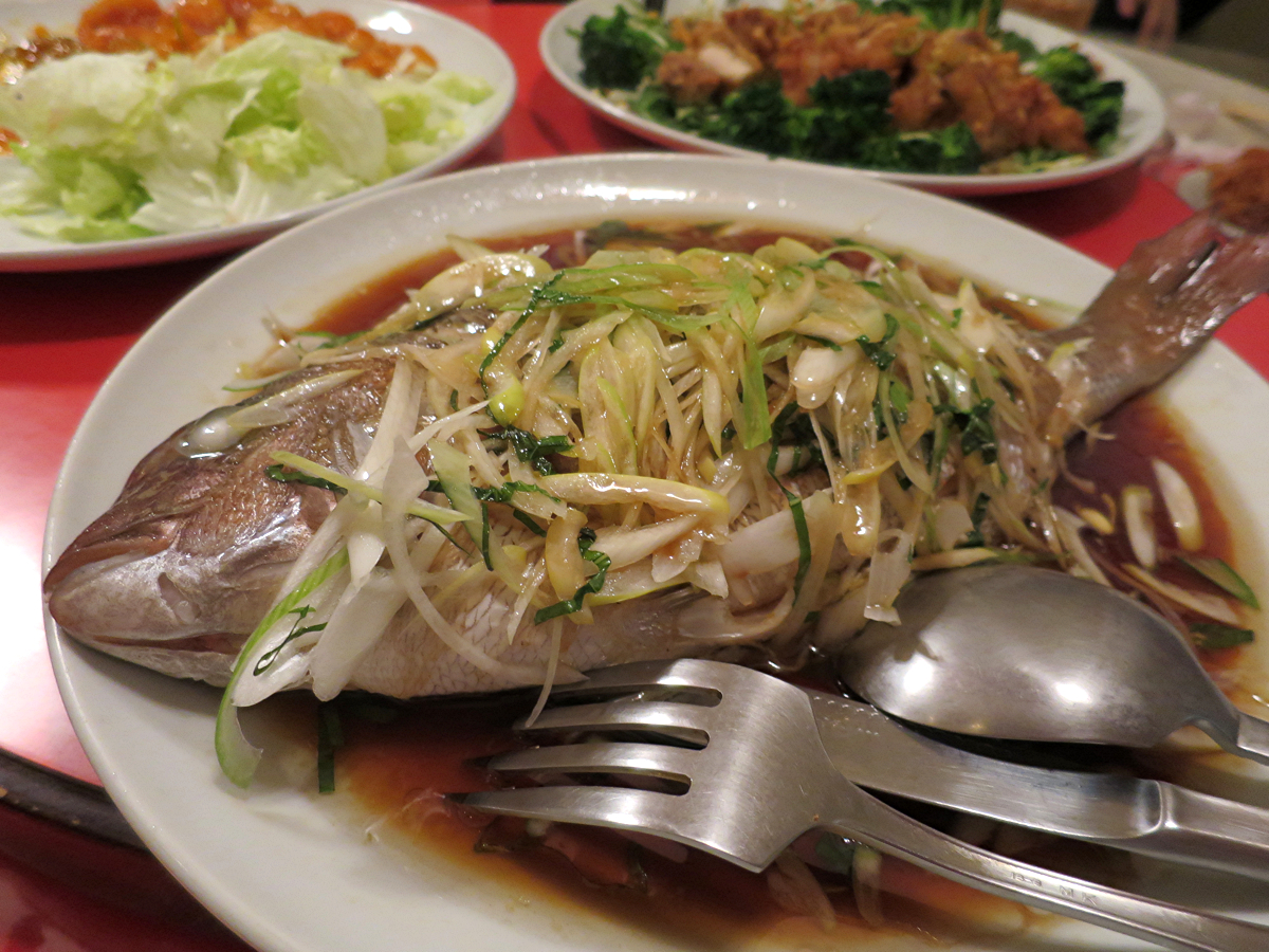 料理6