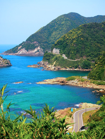 竹野