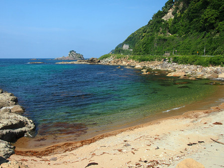竹野