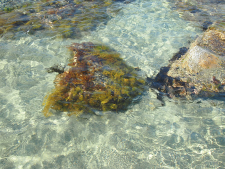 竹野浜