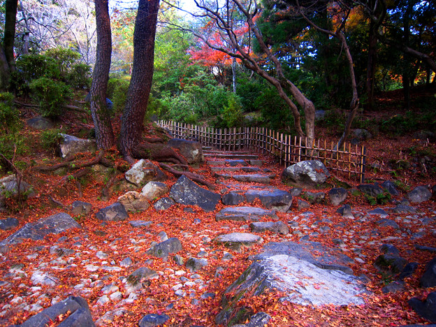 京都