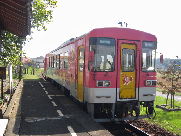 網引駅