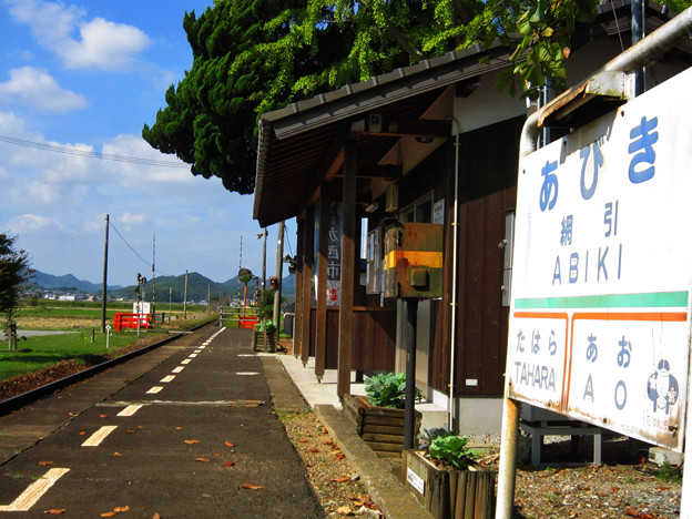 網引駅