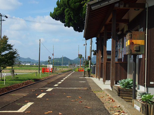 網引駅