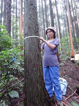2010_06200400