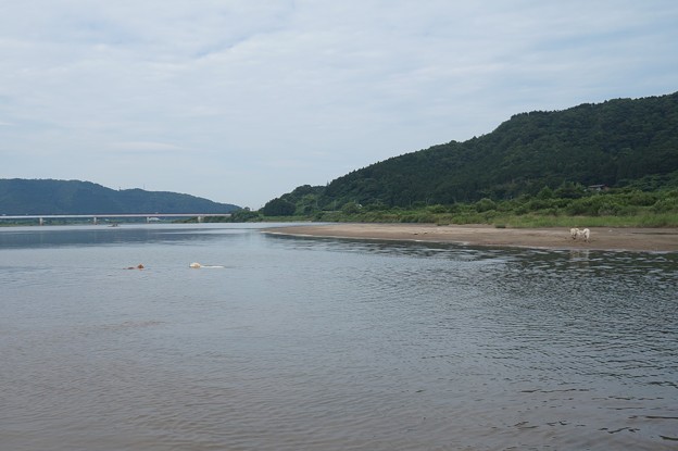 曇りの真夏日