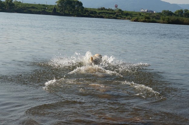 水　最高