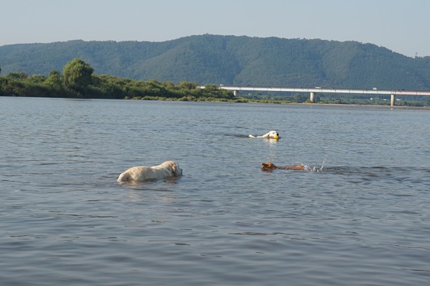 水　最高