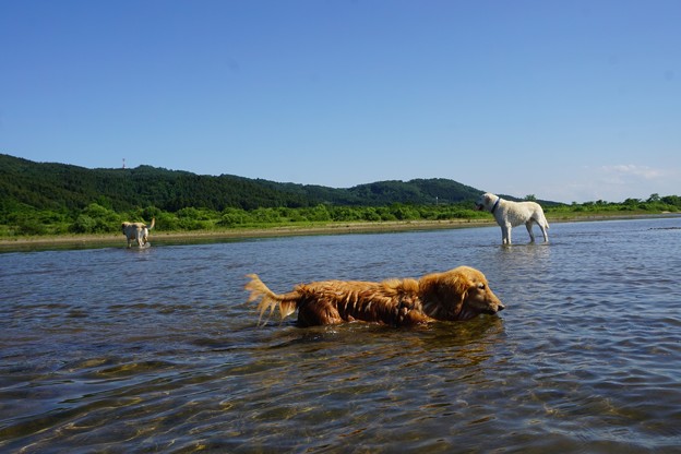 水遊び