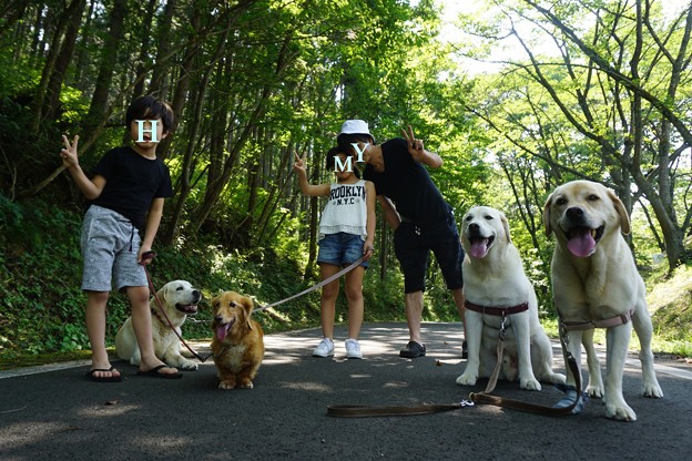 涼しい道