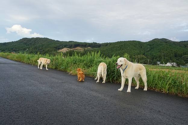 雨上がり