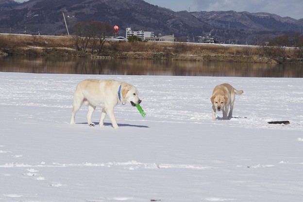 雪遊び