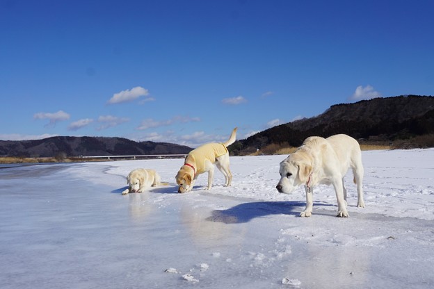 これは氷か？