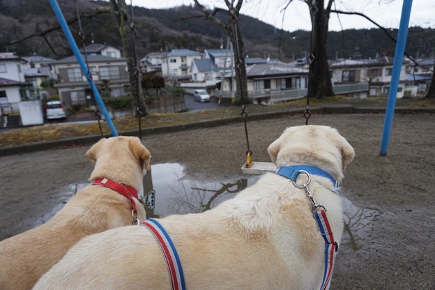 雨上がり