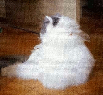 GIFヒラヒラ~♪