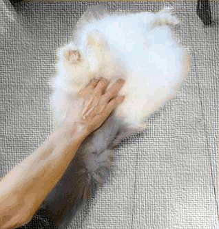 動く足の体操
