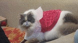 GIF!ナデナデしてね (2)