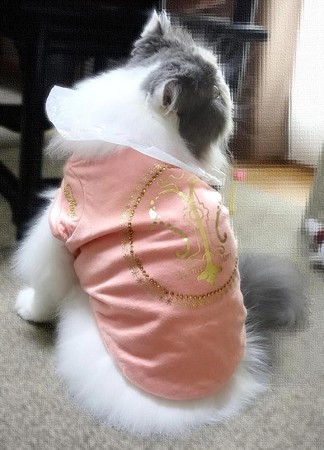 ピンクを着た仔 (2)