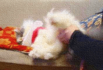 GIF!超高速,ストレッチ