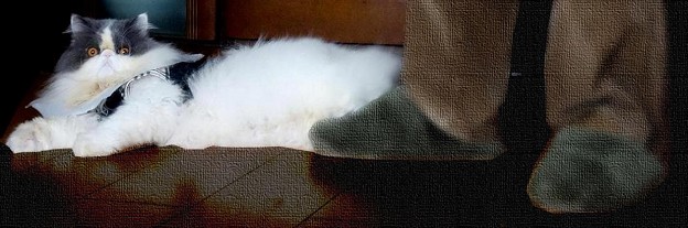 僕ちゃんとジィジィ