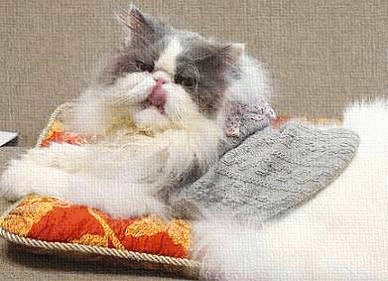 GIF! パフォーマーくうちゃん
