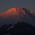 紅富士
